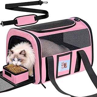 Portable Pet Carrier