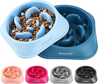 Slow Feeder Bowl